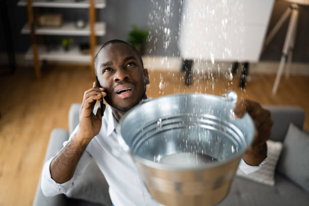 Best Sewage cleanup and water damage restoration  in North Grosvenor Dale, CT