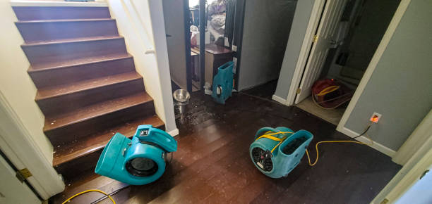 Professional Water damage restoration in North Grosvenor Dale, CT