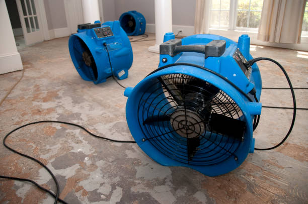 Carpet water damage restoration in North Grosvenor Dale, CT