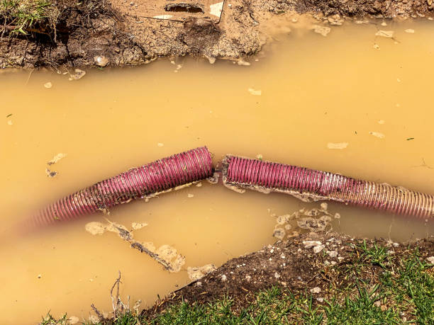 Best Water damage restoration near me  in North Grosvenor Dale, CT